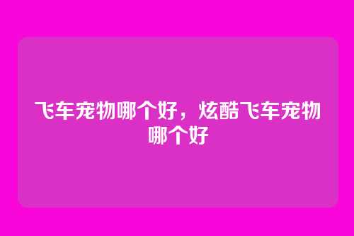 飞车宠物哪个好,炫酷飞车宠物哪个好