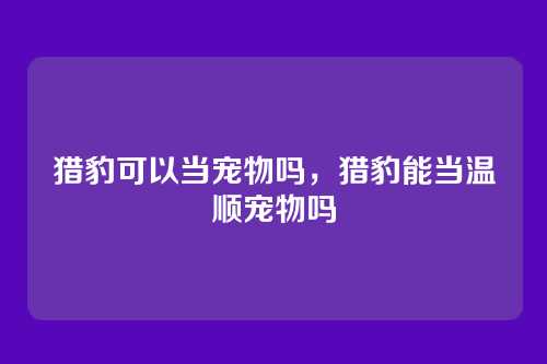 猎豹可以当宠物吗,猎豹能当温顺宠物吗