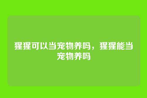 猩猩可以当宠物养吗,猩猩能当宠物养吗
