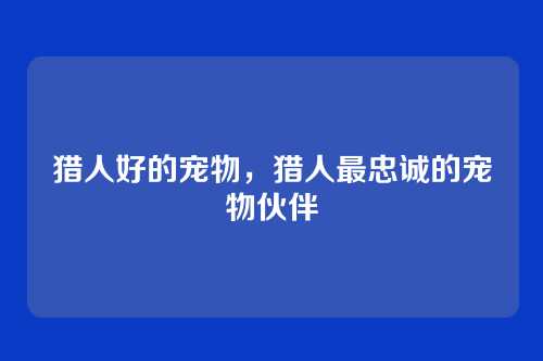 猎人好的宠物,猎人最忠诚的宠物伙伴