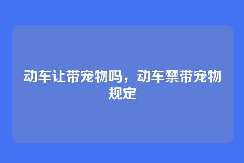 动车让带宠物吗,动车禁带宠物规定