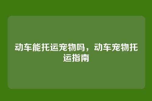 动车能托运宠物吗,动车宠物托运指南