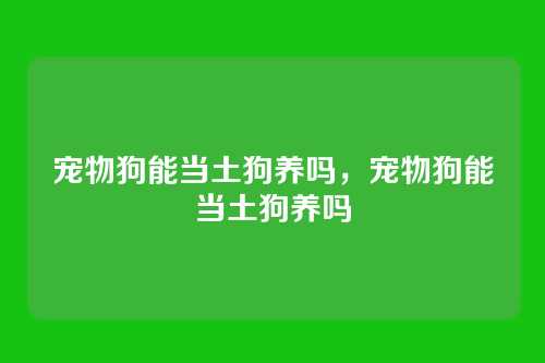 宠物狗能当土狗养吗,宠物狗能当土狗养吗