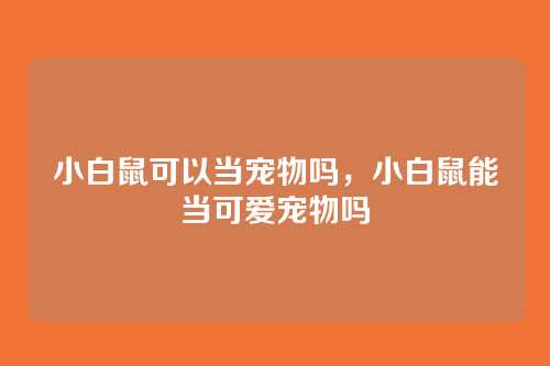 小白鼠可以当宠物吗,小白鼠能当可爱宠物吗