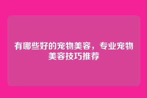 有哪些好的宠物美容,专业宠物美容技巧推荐
