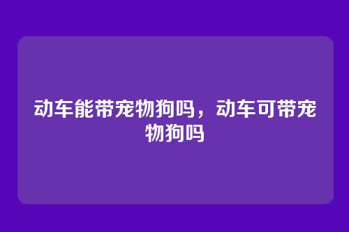 动车能带宠物狗吗,动车可带宠物狗吗