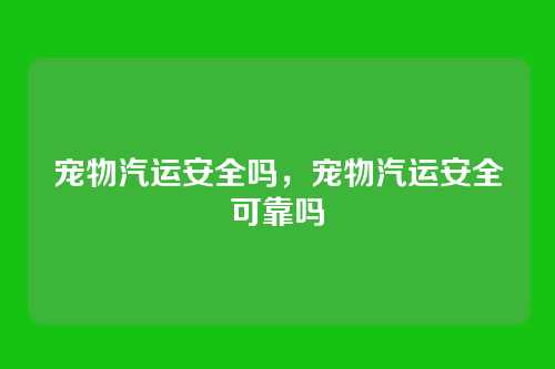 宠物汽运安全吗,宠物汽运安全可靠吗