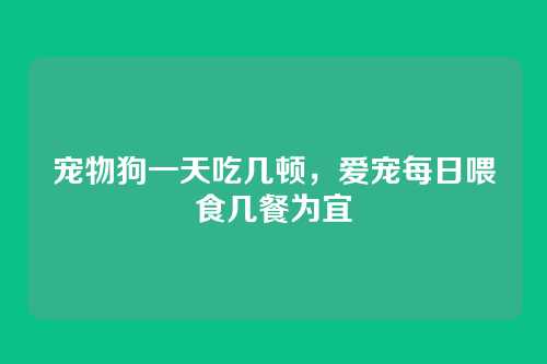 宠物狗一天吃几顿,爱宠每日喂食几餐为宜