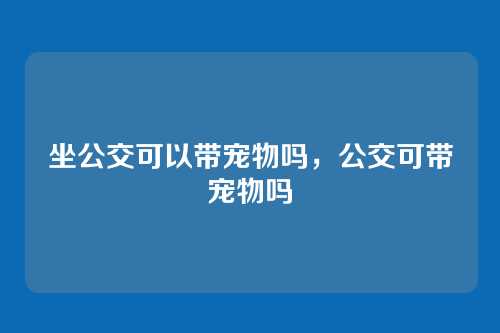 坐公交可以带宠物吗,公交可带宠物吗