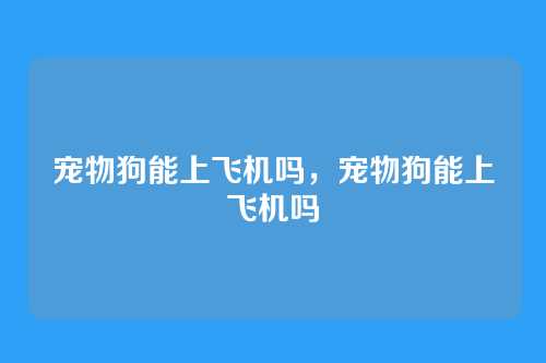宠物狗能上飞机吗,宠物狗能上飞机吗