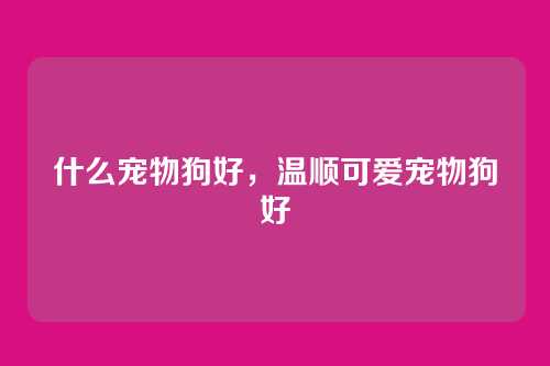 什么宠物狗好,温顺可爱宠物狗好
