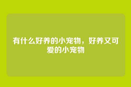 有什么好养的小宠物,好养又可爱的小宠物