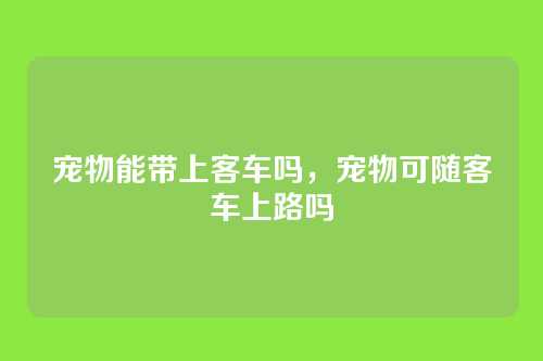 宠物能带上客车吗,宠物可随客车上路吗