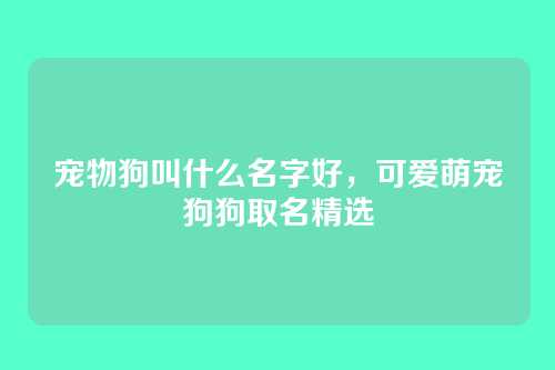 宠物狗叫什么名字好,可爱萌宠狗狗取名精选