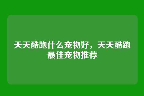 天天酷跑什么宠物好,天天酷跑最佳宠物推荐