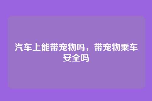 汽车上能带宠物吗,带宠物乘车安全吗