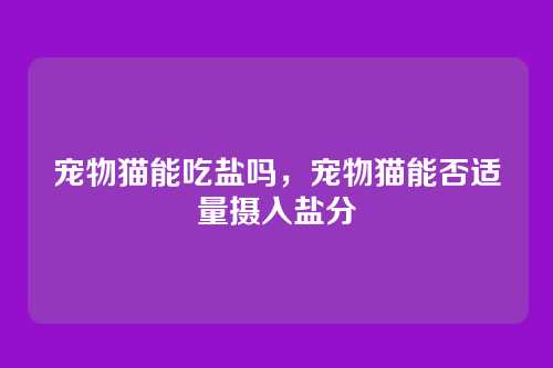 宠物猫能吃盐吗,宠物猫能否适量摄入盐分