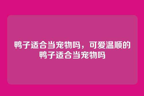 鸭子适合当宠物吗,可爱温顺的鸭子适合当宠物吗