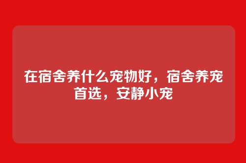 在宿舍养什么宠物好,宿舍养宠首选,安静小宠