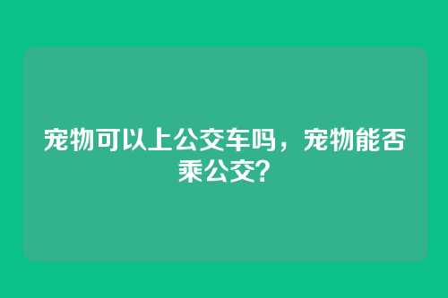 宠物可以上公交车吗,宠物能否乘公交?