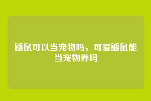 鼯鼠可以当宠物吗,可爱鼯鼠能当宠物养吗