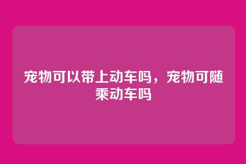 宠物可以带上动车吗,宠物可随乘动车吗
