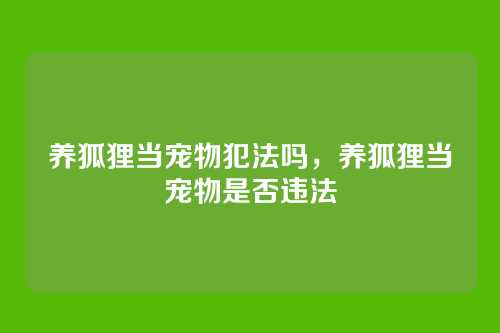 养狐狸当宠物犯法吗，养狐狸当宠物是否违法