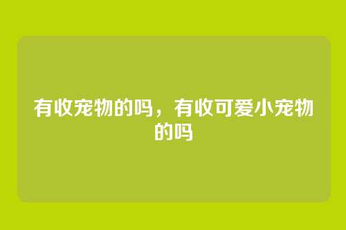 有收宠物的吗,有收可爱小宠物的吗
