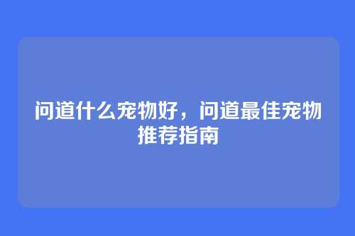 问道什么宠物好,问道最佳宠物推荐指南