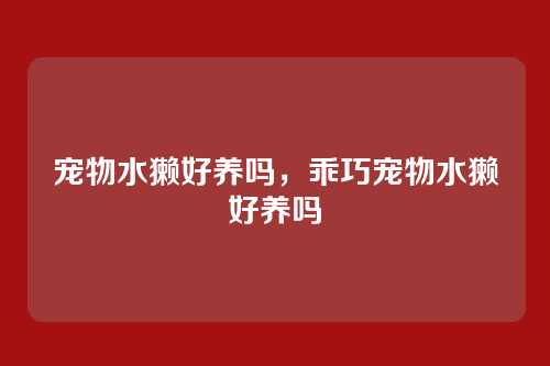 宠物水獭好养吗,乖巧宠物水獭好养吗