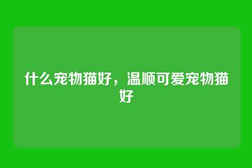 什么宠物猫好,温顺可爱宠物猫好