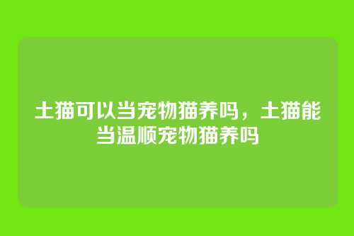 土猫可以当宠物猫养吗,土猫能当温顺宠物猫养吗