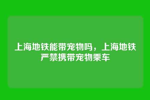 上海地铁能带宠物吗,上海地铁严禁携带宠物乘车