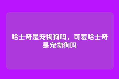哈士奇是宠物狗吗,可爱哈士奇是宠物狗吗