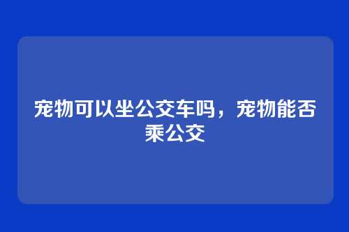 宠物可以坐公交车吗,宠物能否乘公交
