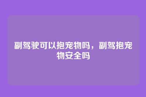 副驾驶可以抱宠物吗，副驾抱宠物安全吗