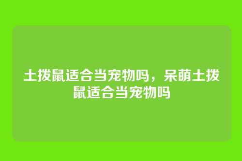 土拨鼠适合当宠物吗,呆萌土拨鼠适合当宠物吗