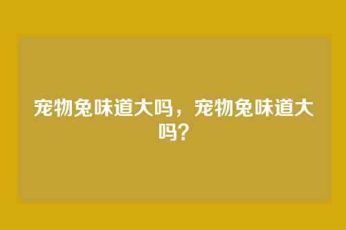 宠物兔味道大吗,宠物兔味道大吗?