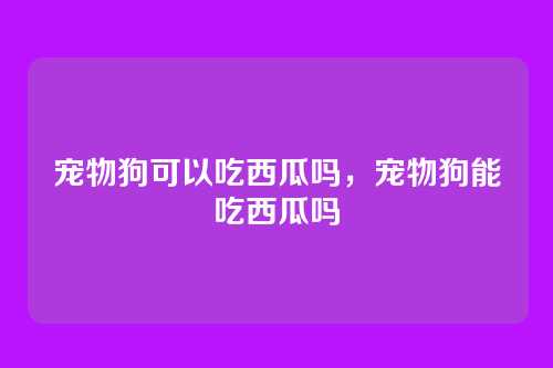 宠物狗可以吃西瓜吗,宠物狗能吃西瓜吗