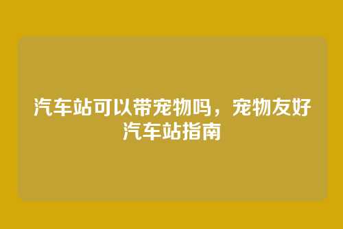 汽车站可以带宠物吗,宠物友好汽车站指南