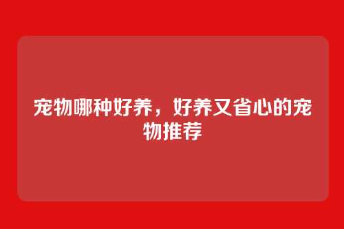 宠物哪种好养,好养又省心的宠物推荐