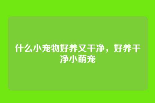 什么小宠物好养又干净,好养干净小萌宠