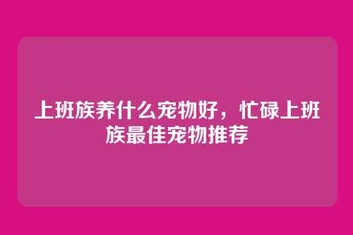 上班族养什么宠物好,忙碌上班族最佳宠物推荐