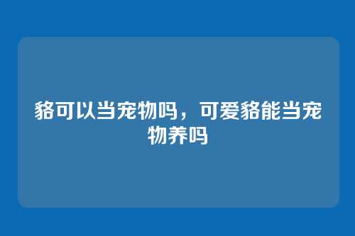 貉可以当宠物吗,可爱貉能当宠物养吗