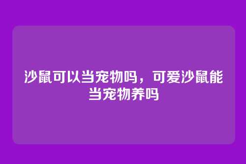 沙鼠可以当宠物吗，可爱沙鼠能当宠物养吗
