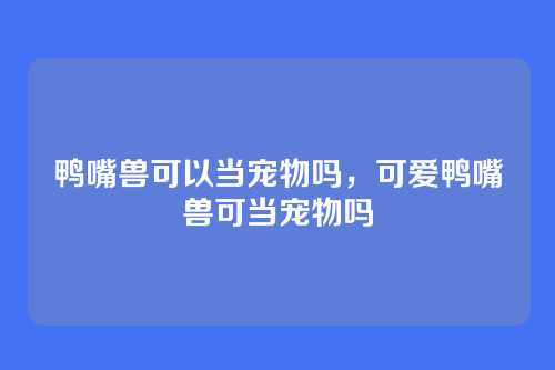 鸭嘴兽可以当宠物吗,可爱鸭嘴兽可当宠物吗