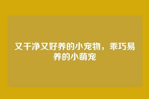 又干净又好养的小宠物,乖巧易养的小萌宠