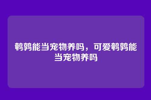 鹌鹑能当宠物养吗,可爱鹌鹑能当宠物养吗