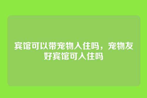 宾馆可以带宠物入住吗,宠物友好宾馆可入住吗