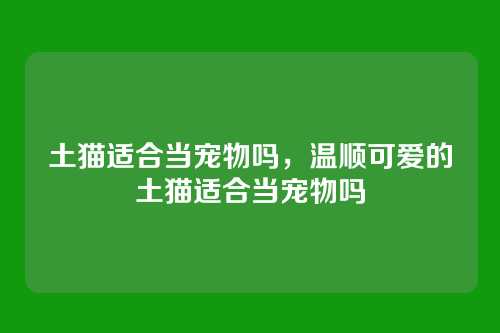 土猫适合当宠物吗，温顺可爱的土猫适合当宠物吗